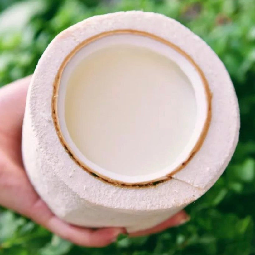 Coconut Jelly - Original 原味椰子冻 (Glass container)